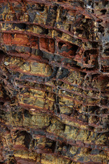 Stock Photo - Stone texture background