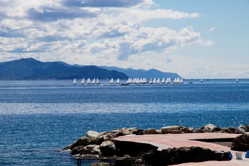 Regata
