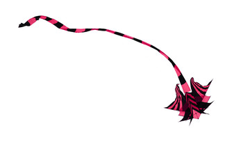 Drachen, freigestellt