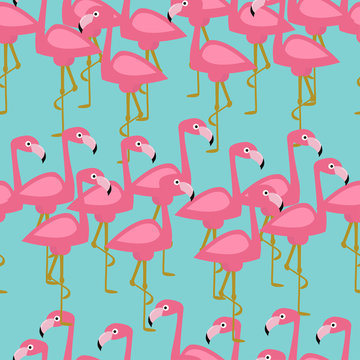 Seamless pattern with flamingo