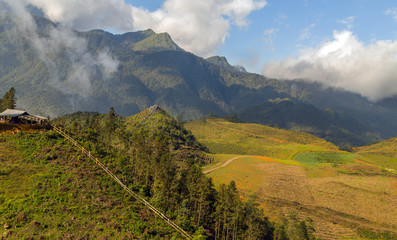Naklejka premium terraced Vietnam Sa Pa - Cereal Plant, Landscape