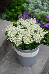 subtelny bukiet z konwalii