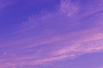 Naklejka premium Purple Sky
