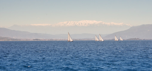 regatta against white tops