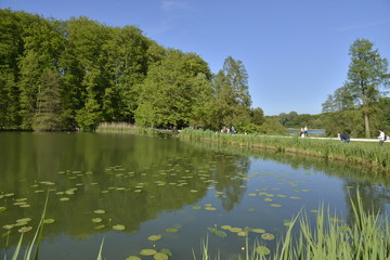 L'étang Solvay au printemps sous un ciel bleu 