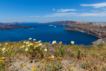 Greece, Santorini, view of the Bay and wild flowers