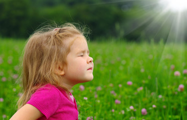  girl on the meadow