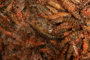 King shrimps background