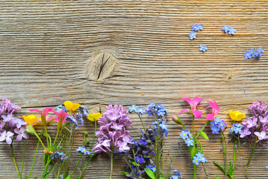 Fr&uuml;hlingsblumen auf Brett