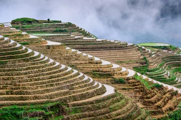 Foto op Plexiglas Chinese Rice Terraces © SeanPavonePhoto