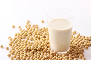 豆乳