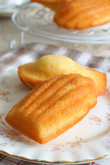 Madeleines little French sponge cakes