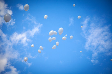 White Balloons on Sky Background
