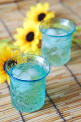 青グラス_ひまわり