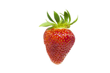 Beautiful strawberries