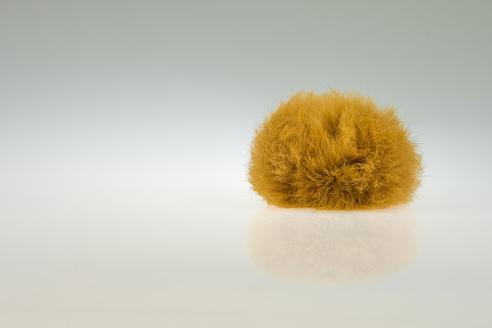 Furball