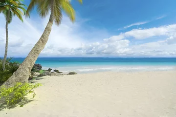 Foto auf Acrylglas Strand und Meer Leerer tropischer Strand