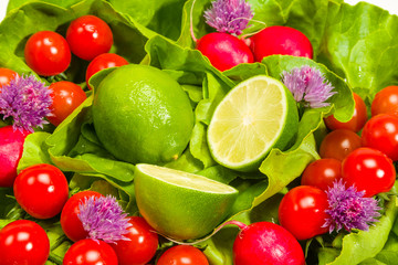 Fototapeta na wymiar Lettuce, radishes, chives, lime and tomatoes