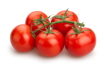 tomato branch