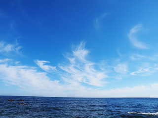 Fototapeta premium the Black Sea coast