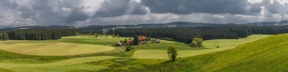 Schwarzwald Panorama