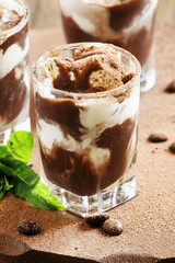 Chocolate dessert with ice cream and mint, selective focus