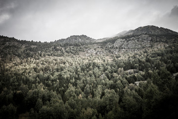 Forest, mountains and clouds. Landscape. Andorra. Toned