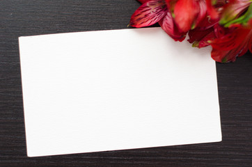 white greeting card with flower on a black background