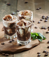 Chocolate dessert with ice cream and mint, selective focus