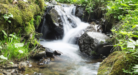 Wild Creek Waterfall in the Forest with Green Vegetation