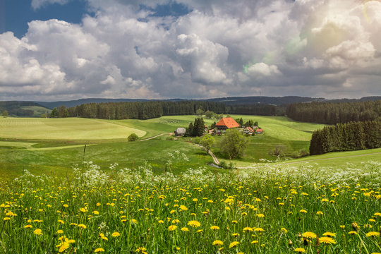 Fallerhof Schwarzwald