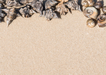 Вымирающая красота