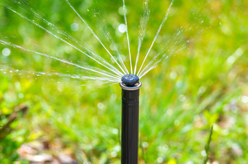 Irrigation equipment watering green grass