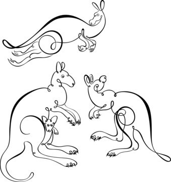 vector kangaroo
