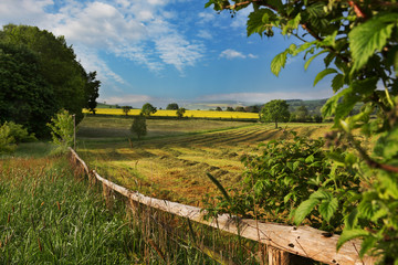 Rural landscape with hay