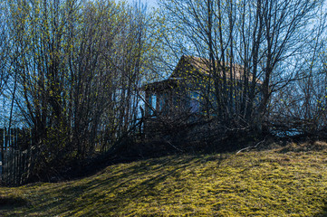 дачный домик стоит на возвышенности за густо растущими деревьями