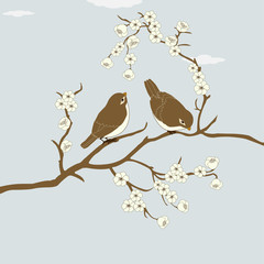 Birds on branch