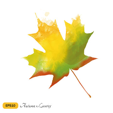 Watercolor vector autumn leaves