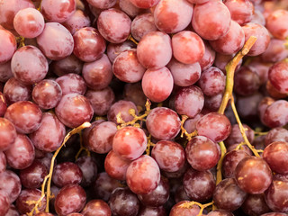 Bunches of grapes on display at market