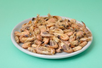Common Shrimp