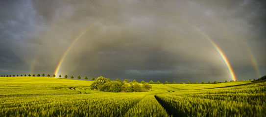 sun, rain and two rainbows over the field