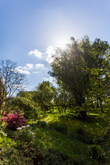 Obraz premium Park in Rostock
