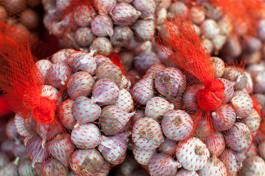 Garlic in the net at the crocery for sell