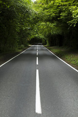 Obraz premium Country lane surrounded by forests