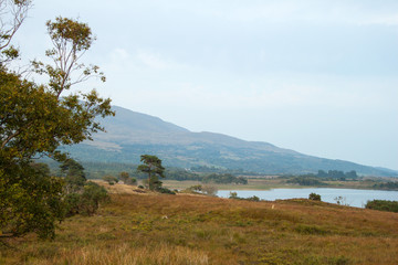 View from the North end of Lough Corrib, Co. Galway, Ireland.