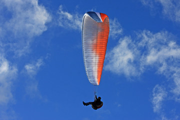 Paraglider