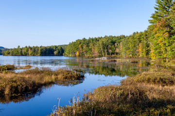 Canadian lake landscape