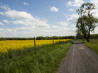 dirt road