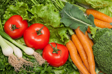 Collection of fresh vegetables from the farmers' market