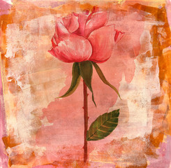 Vintage-styled watercolour drawing of pink rose